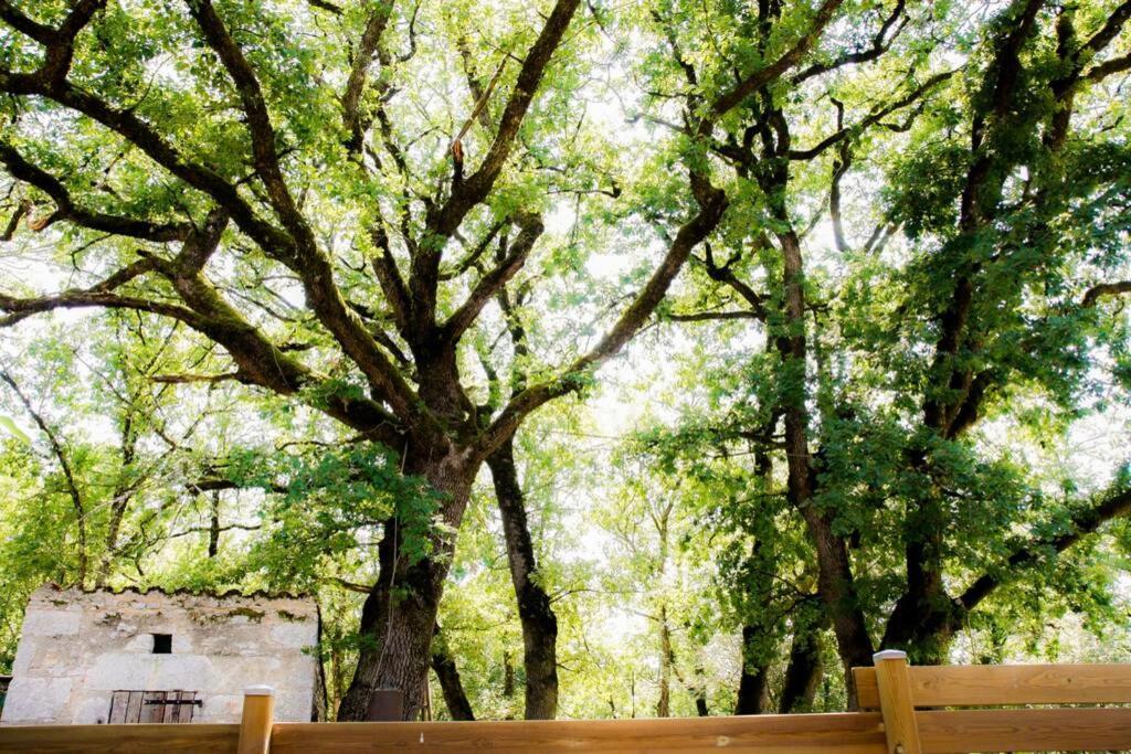 La Taniere Des Druides Villa Luzech Dış mekan fotoğraf